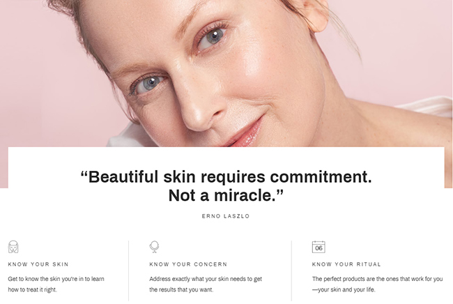 化妝品牌網(wǎng)站開發(fā)