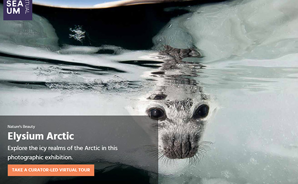 博物館行業網站建設