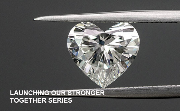 鉆石飾品行業(yè)網(wǎng)站開(kāi)發(fā)