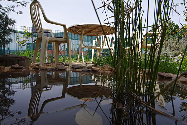 生態(tài)生活網(wǎng)站建設